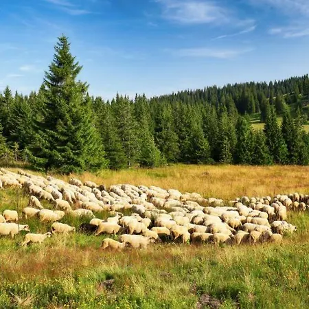 Hotel Horská Smrekovica